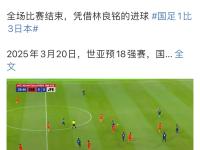 开云体育入口-日本某球队遗憾落败，球迷心疼不已的简单介绍