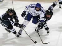 开云体育官方网站-戈麦斯一剑封喉，罗马淘汰葡萄牙背后的战术革命