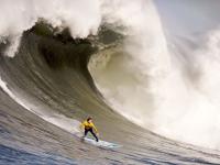 开云官方app入口-赛道与球场，F1街道赛焦点战与辽宁队击败山西队的双重奏