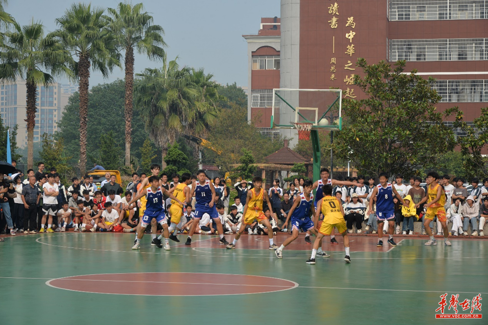 竞技风采！球员们在赛场上的表现迷人的简单介绍